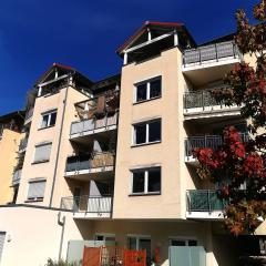Sehr zentral und ruhig gelegene 1,5-Zi-ETW mit Süd-Balkon und TG-Platz, Freiburg!